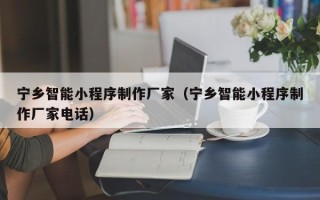 沧州宁乡智能小程序制作厂家（宁乡智能小程序制作厂家电话）