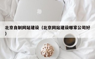 沧州北京自制网站建设（北京网站建设哪家公司好）
