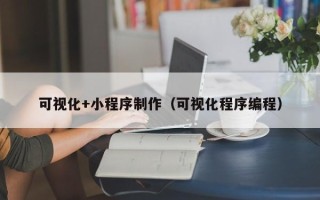 沧州可视化+小程序制作（可视化程序编程）